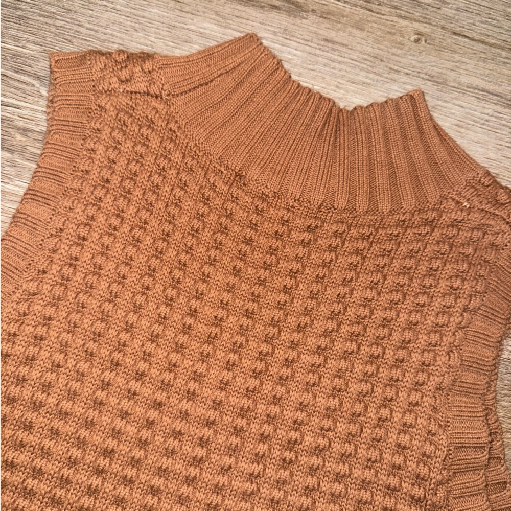 Brown Sleeveless Knit Sweater: French connection - Picture 6 of 12